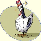 Quand les poules...